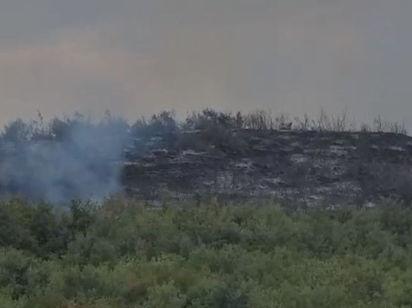 Ndezi zjarr për të djegur mbeturinat, por dogji sipërfaqe toke të mbjella të bashkëfshatarit, e pëson keq autori