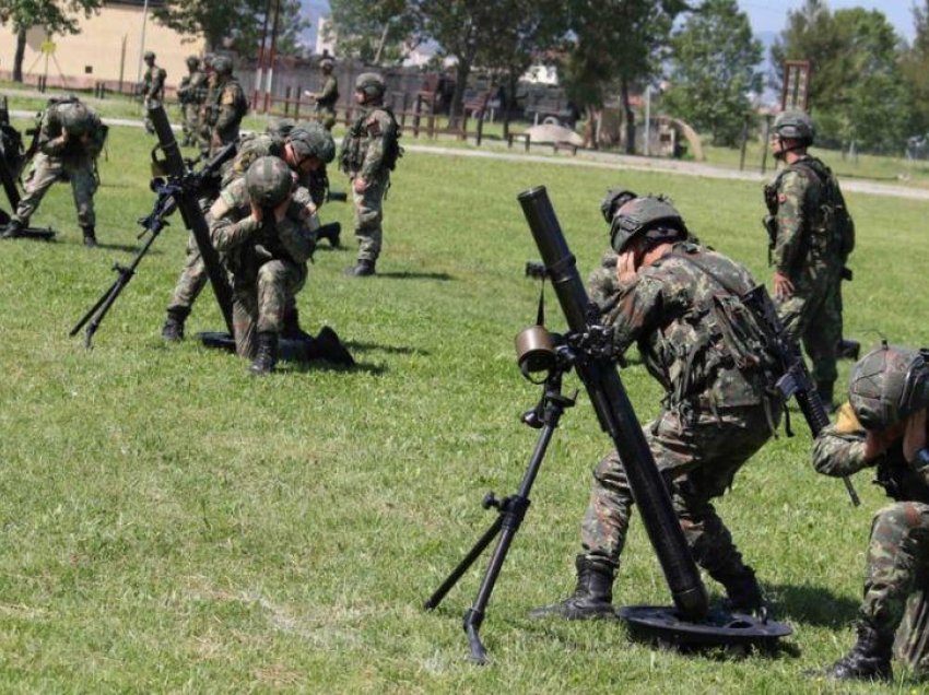 Militarizohet Shqipëria, 2100 rezervistë në stërvitje dhe gatishmëri