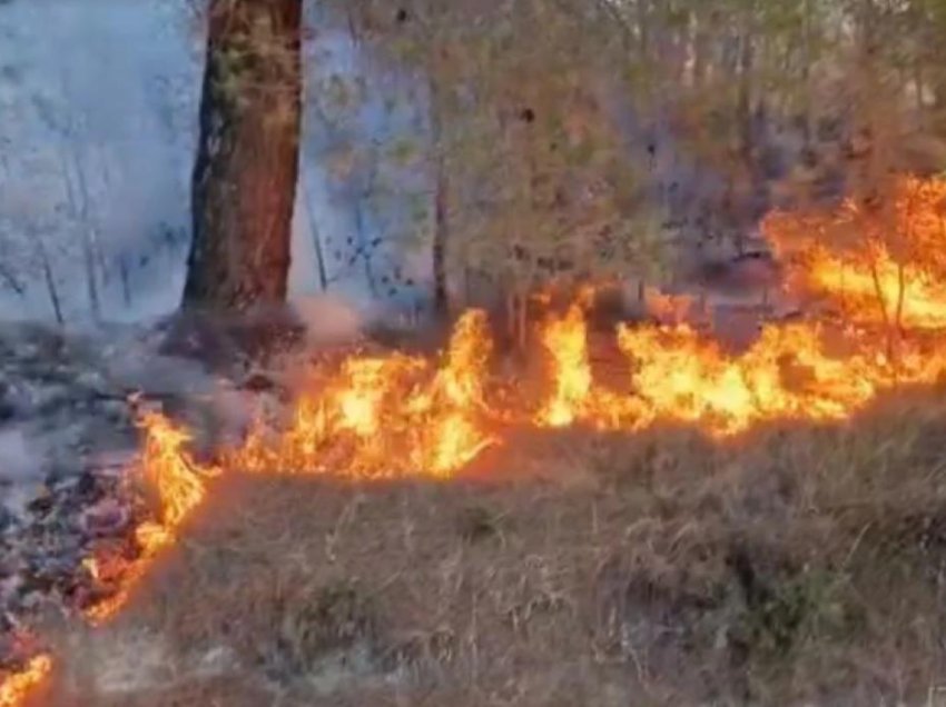 Situata me zjarrin në Çashkë kritike, era po e drejton atë drejt Dollnenit