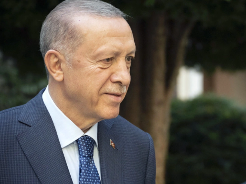 Erdogan: Nëse është e nevojshme, Turqia do të ndajë rrugët me Bashkimin Evropian