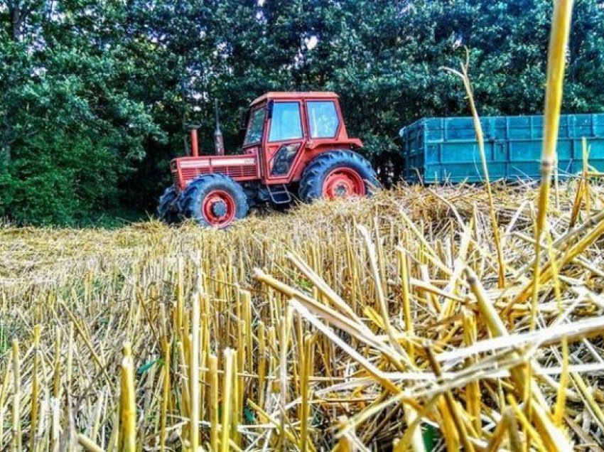 Bujqit ankohen se nafta u shtrenjtua para nisjes së sezonit të lavrimit, naftëtarët fajësojnë bursën