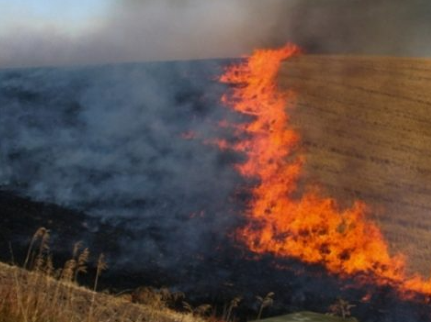 Vdes një burrë në Viti derisa po fikte një zjarr fushor