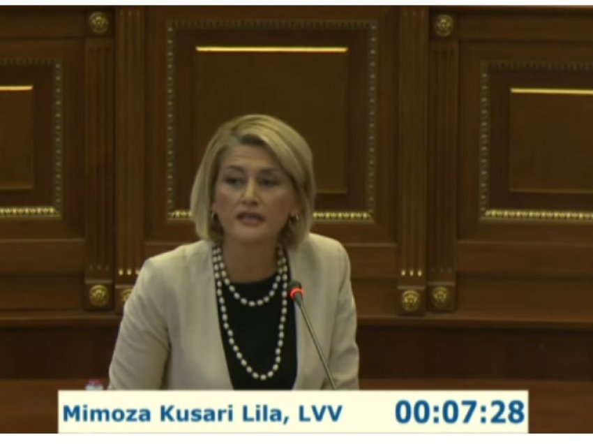 Kërkesa për themelim të komisionit hetimor për rezervat shtetërore, Kusari- Lila: Nuk ka kuptim