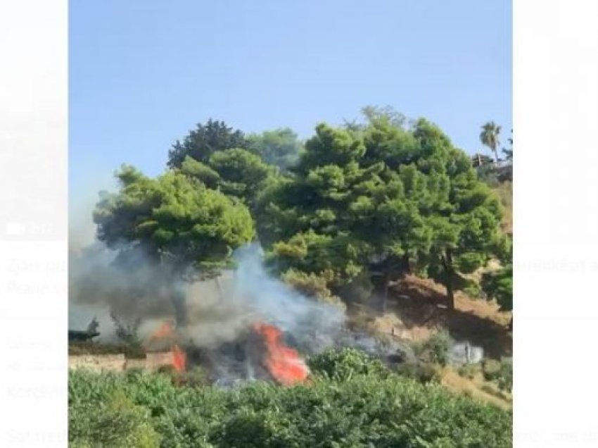 Përfshihet nga zjarri një pjesë e kodrës në Kuzum Baba në Vlorë, rrezikohen banesat