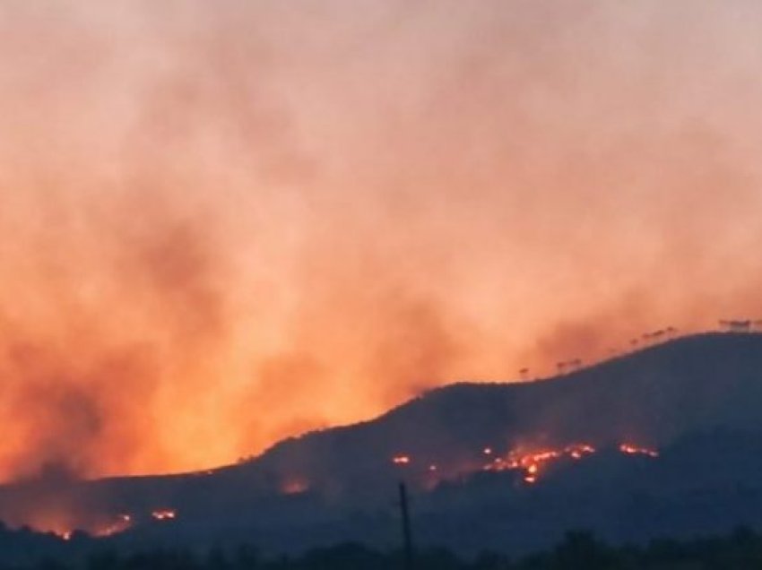 Mbi dy mijë zjarre në dy muaj, shumica në ara 