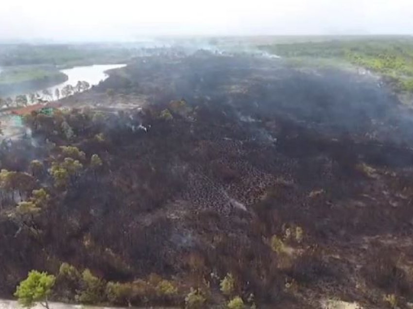 Bilanc i frikshëm dëmesh në Fier dhe Patos, prefekti i qarkut tregon përmasat e zjarrit