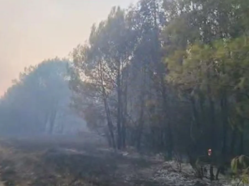 Përhapen me shpejtësi flakët në Pishporo të Fierit, tetë zjarrfikëse në terren