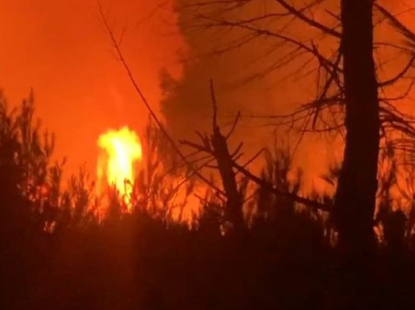 Fieri nuk gjen qetësi nga flakët, riaktivizohet një vatër zjarri në Darëzezë