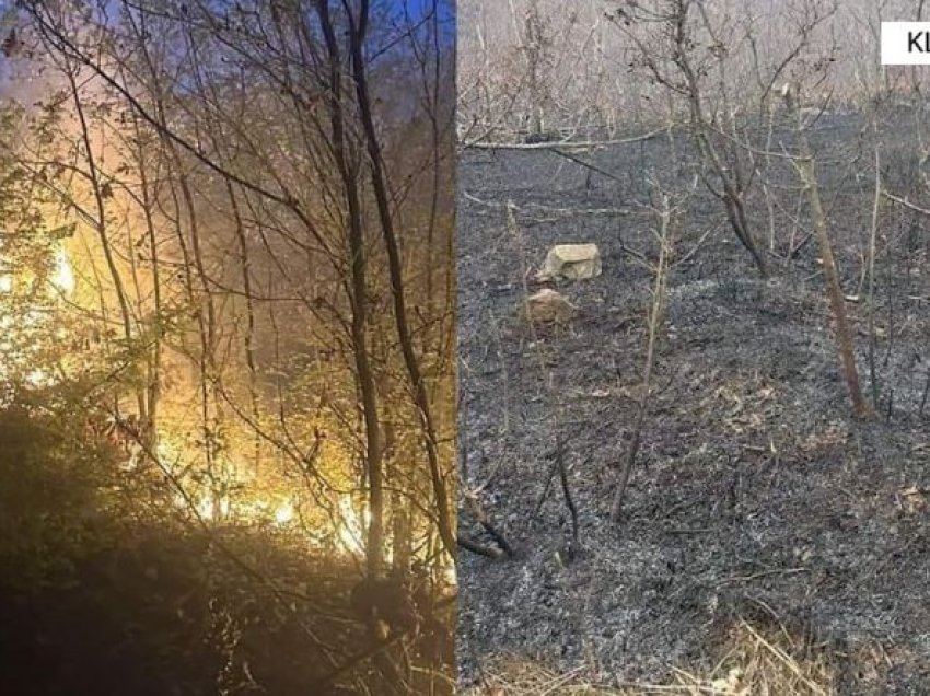 Klos/ Dogji një sipërfaqe toke me bimësi në fshatin Plani i Bardhë, bie në pranga 22-vjeçari