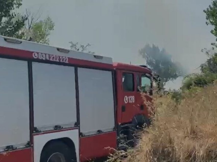 Zjarri masiv rrezikon varrezat publike në Fier, flakët ‘përpijnë’ ullishtet në fshatin Plyk