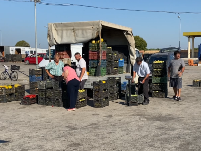 Pse po rriten çmimet? Fermerët në Lushnjë: Po shesim shumë lirë, mungon kontrolli tek tregtarët e shumicës