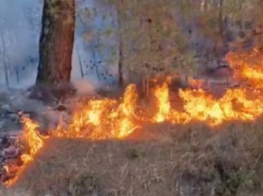 Angellov: Aktualisht aktive janë nëntë zjarre