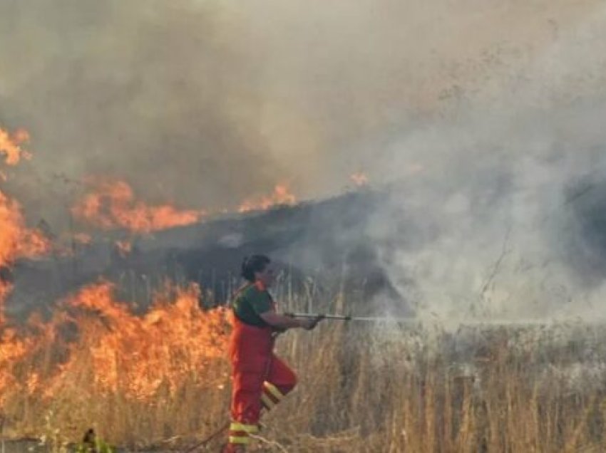 “Moti i zjarrit”, vapë ekstreme dhe zjarre nga Evropa në Ballkan, Turqi dhe Brazil