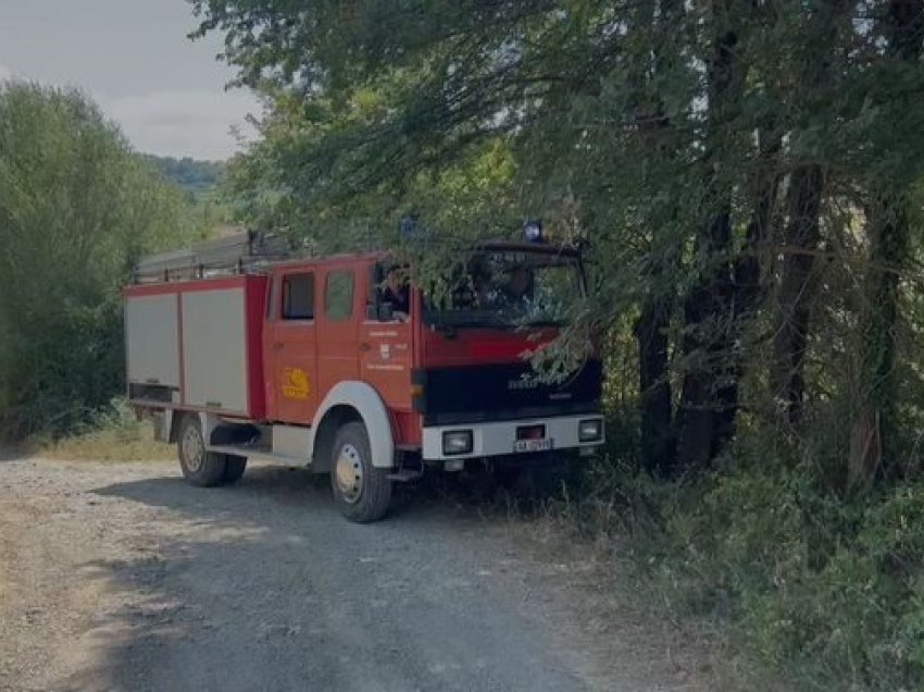 Panik në Klos/ Zjarr në fshatin Kurqele, por ndërhyhet në kohë, shpëtohen banesat