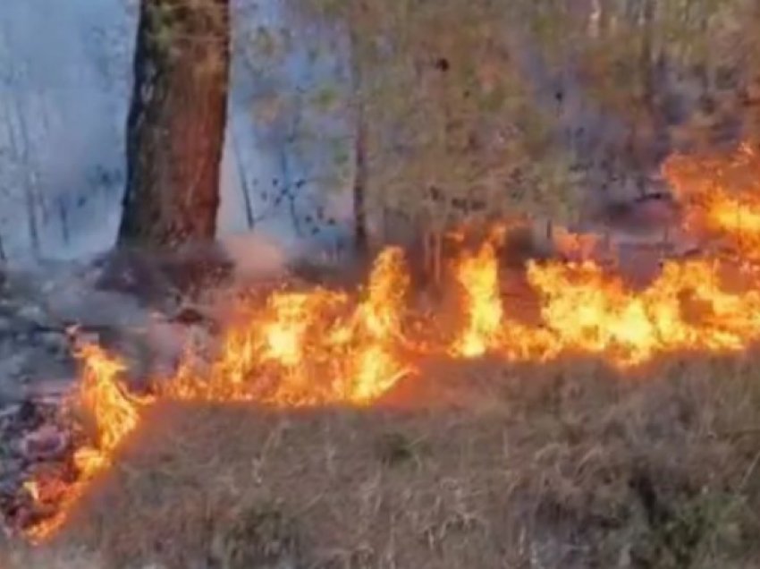 Kryetari i Pllasnicës: Nuk kemi mbështetje për zjarrin, kush mundet të vijë të ndihmojë