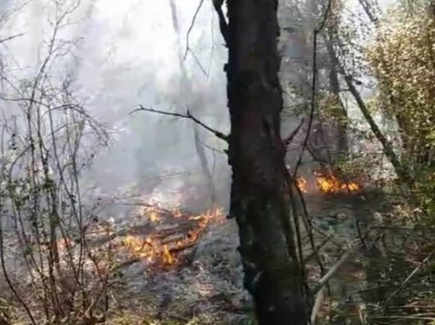 Riaktivizohet zjarri në lagjen Bojë në Krujë, zjarrfikësit në vendngjarje