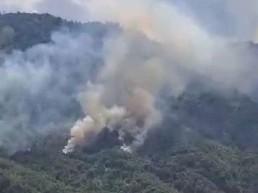 Aktivizohen disa vatra zjarri në pyjet e Qafë Shtamës, kërkohet ndërhyrje nga ajri