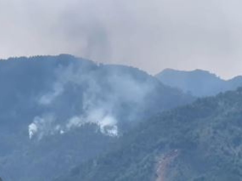 Bulqizë/ Zjarret përfshijnë pyjet e kurorës së Liqenit të Zi, flakët favorizohen nga era dhe temperaturat e larta