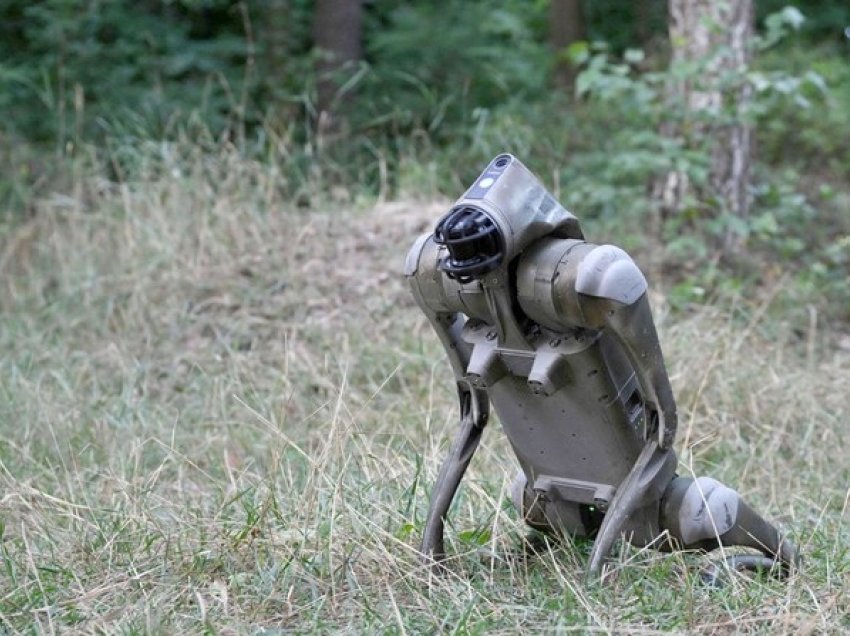 Ukraina do të lëshojë qen robotë në vijën e saj të frontit