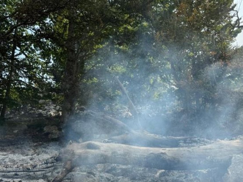 Vijon zjarri prej tre ditësh në Malin e Thatë, rrezikon zonën e mbrojtur të Parkut Kombëtar të Prespës