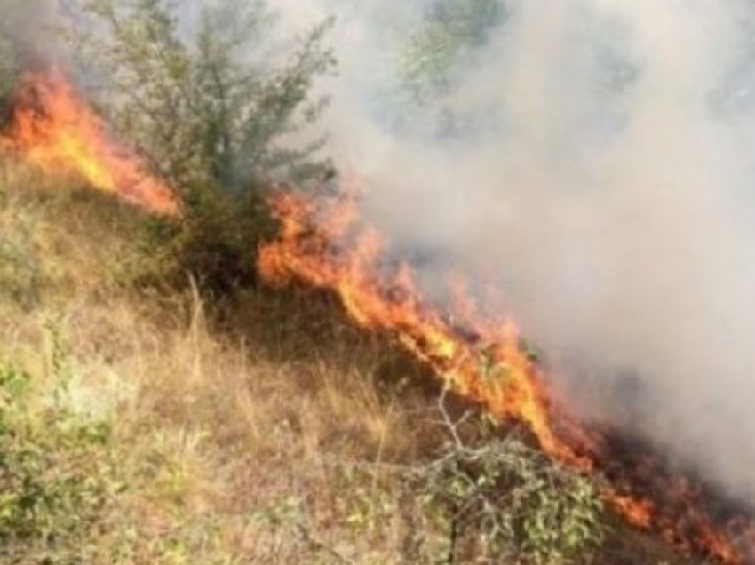 Aktivohet një vatër zjarri në Përrenjas, forcat zjarrfikëse prej 10 orësh në ‘luftë’ me flakët