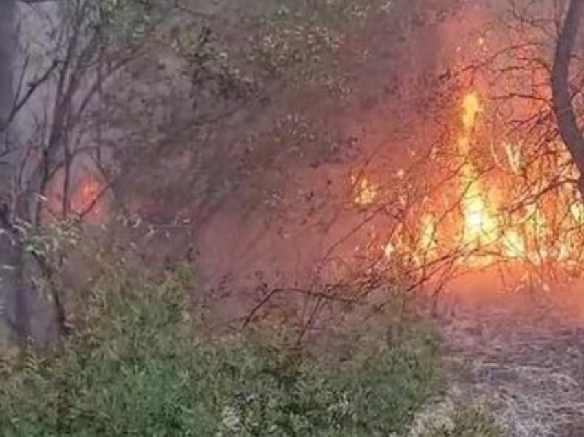 Durrës/ Ndezi zjarr për të djegur mbetjet, i moshuari asfiksohet nga tymi, ndërron jetë