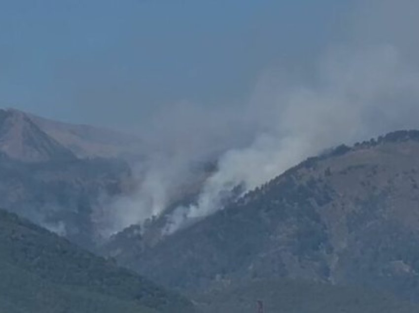 Përfshihet nga zjarri kurora e gjelbër në Zerqan të Bulqizës, flakët dalin jashtë kontrollit