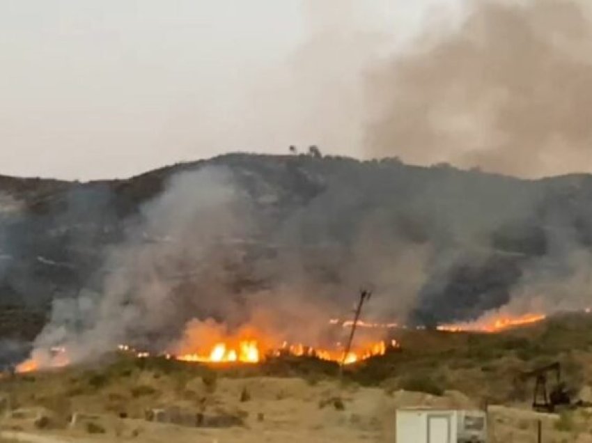 Zjarr i përmasave të mëdha në Gorrisht të Vlorës, flakët ‘përpijnë’ mbi 3 mijë rrënjë ulliri