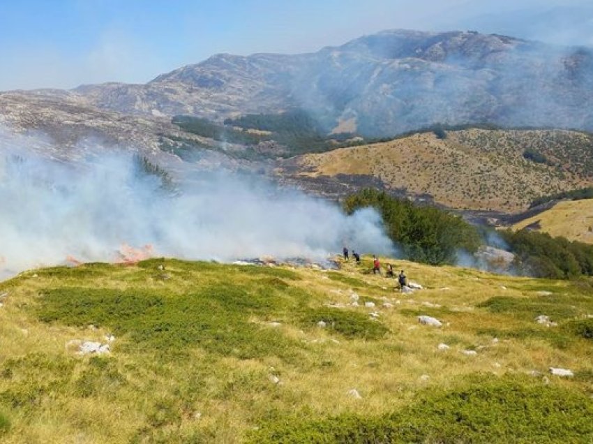 Zjarri në Parkun Kombëtar të Prespës del jashtë kontrollit, kërkohet ndërhyrje e menjëhershme nga ajri