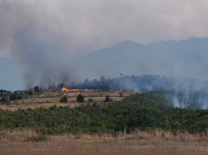 Zjarr masiv në afërsi të Burrelit, nis ndërhyrja për vënien nën kontroll të flakëve