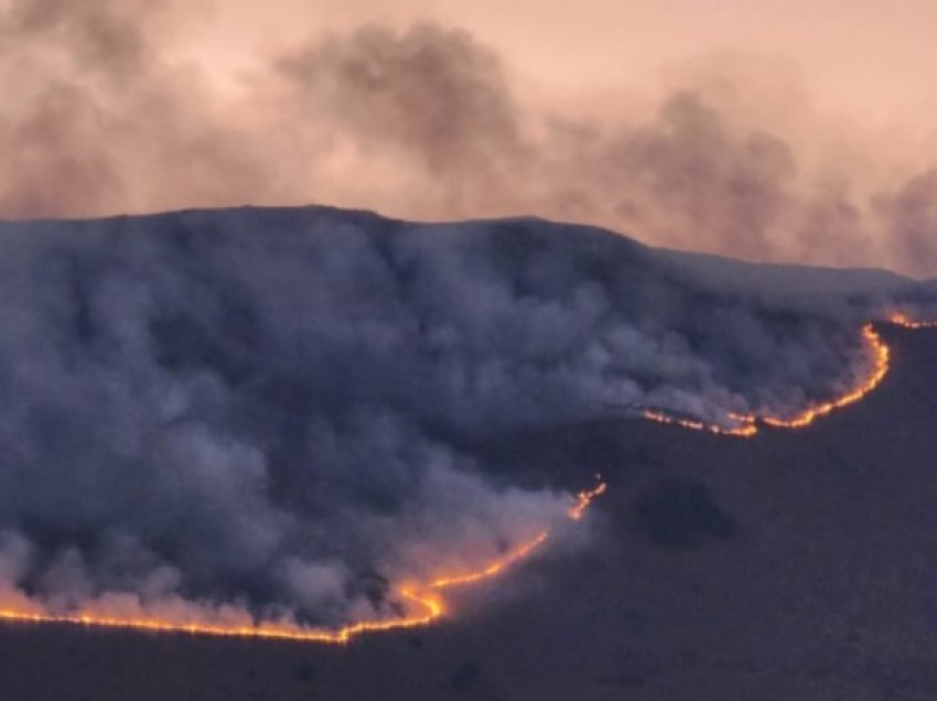 QMK: Gjithsej 37 zjarre në ambiente të hapura, 10 janë aktivë