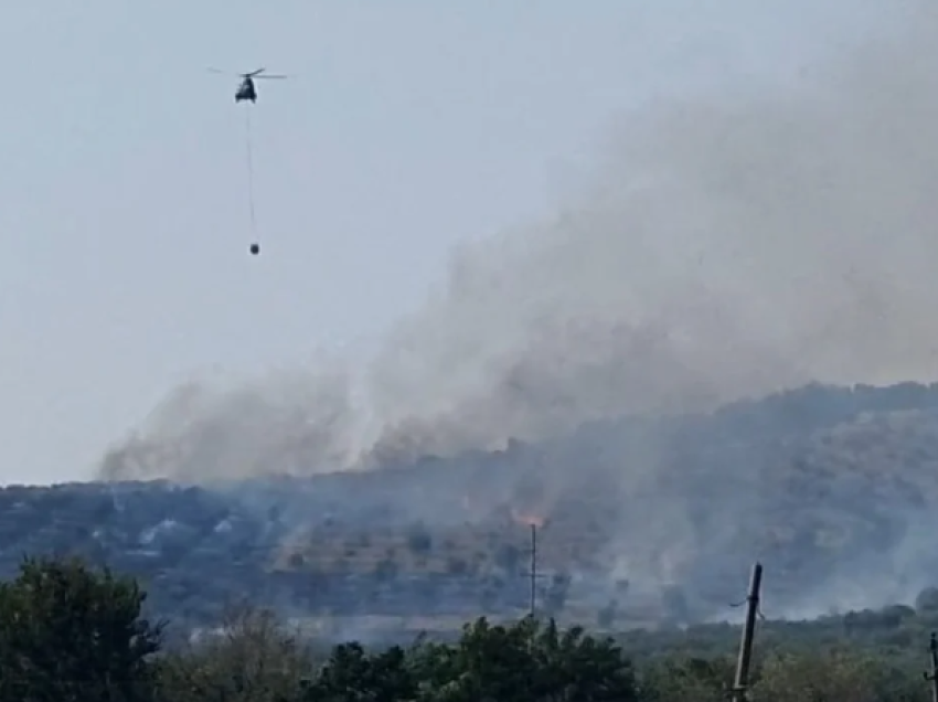 Zjarr në një kodër në Lushnjë, flakët përhapen me shpejtësi, mbërrin ndihma nga ajri