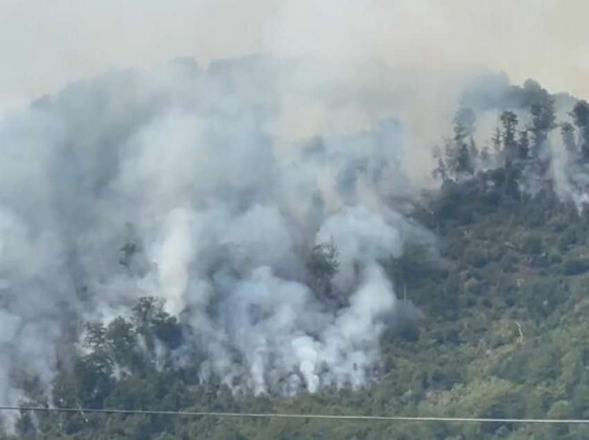 Zjarri në Bulqizë i afrohet banesave, ndërhyrje nga ajri