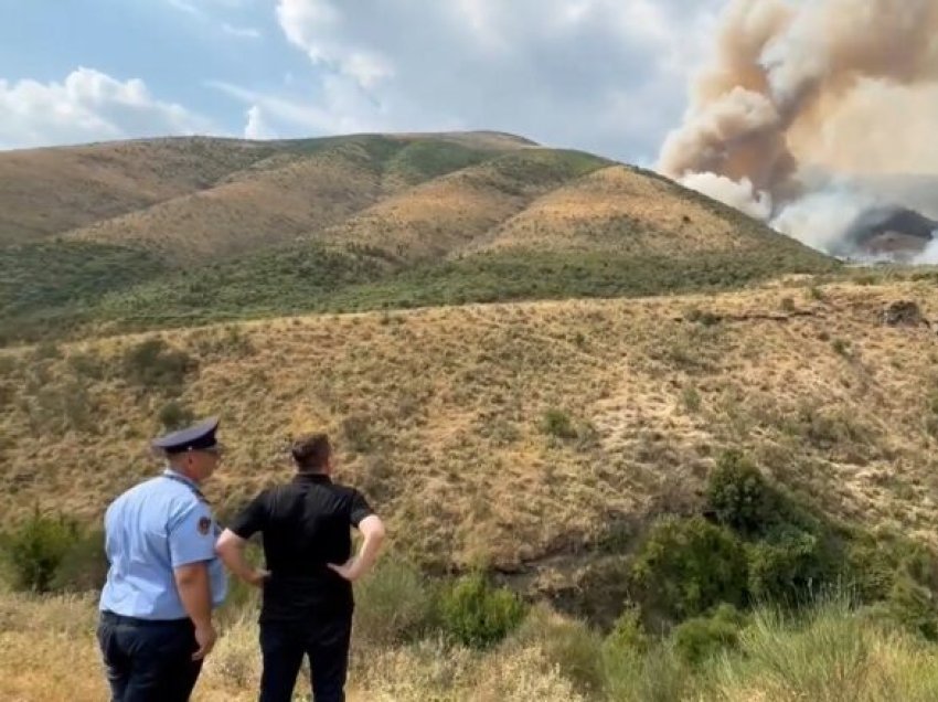 Bilanci i zjarreve në Shqipëri, 29 raste në 24 orë, 14 vatra ende aktive