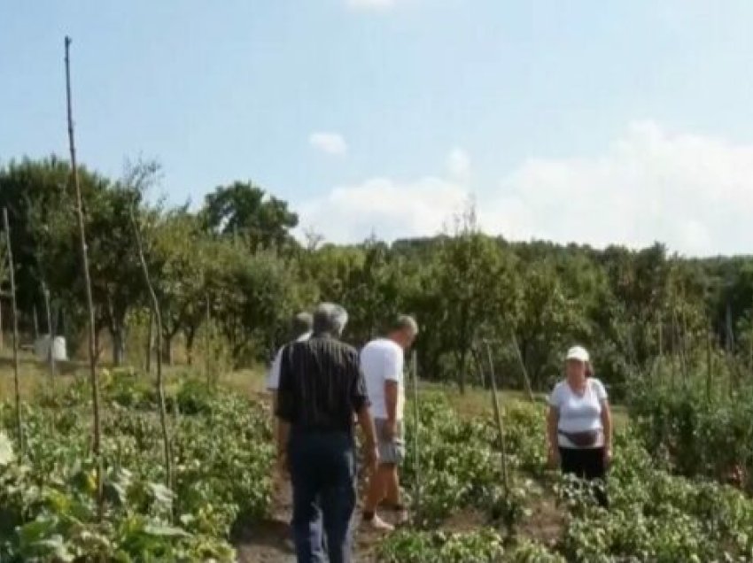 Investimet vetanake ndryshojnë Gollakun