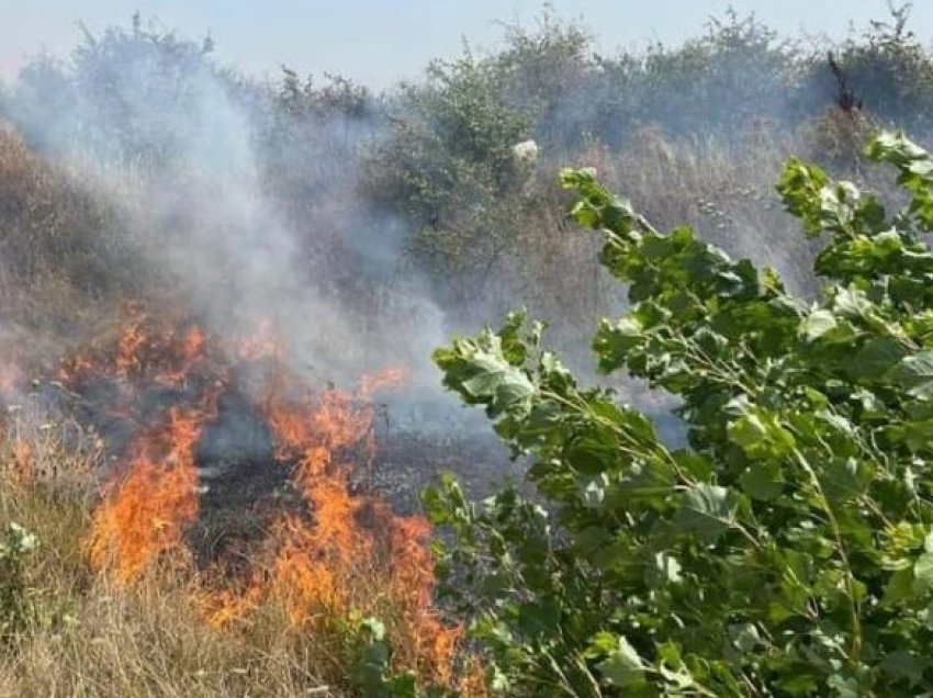 13 zjarre aktive në territorin e RMV-së, tetë janë nën kontroll, ndërsa 27 janë shuar