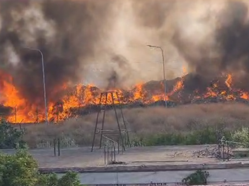 Aktivizohet një vatër zjarri në Fier, flakët favorizohen nga era! Kërkohet ndërhyrje nga ajri