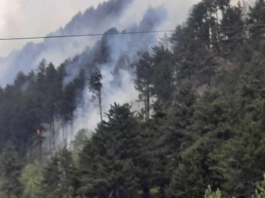 ​Pakujdesia e qytetarëve po shkakton zjarret, AME thotë se gjatë intervenimeve në Prevallë u lënduan disa zjarrfikës