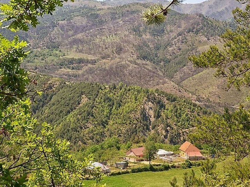 U gjet i vrarë me plumb në dhomën e gjumit, zbulohet konflikti i disa viteve më parë në Mirditë