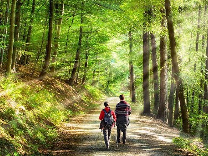 Pavarësisht të gjitha teorive, vetëm një zakon i përditshëm mund të na shpëtojë nga stresi