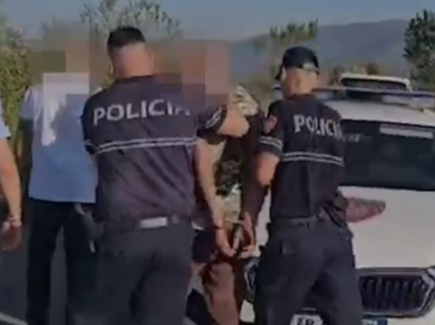 Policia aksion në Shkodër/ Asgjësohen 361 bimë kanabis, vihet në pranga 67-vjeçari! 