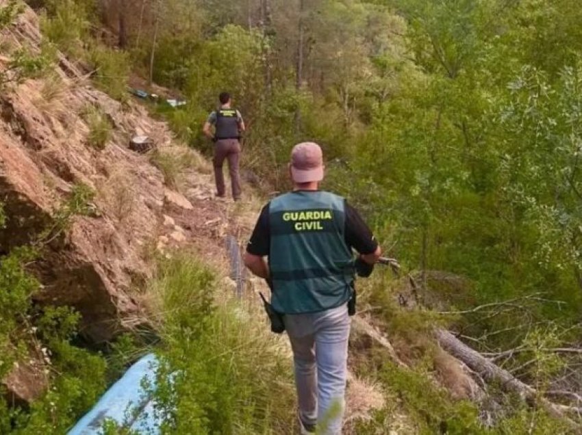 Mbollën kanabis në pyll, në pranga 44-vjeçari shqiptar, në kërkim bashkëpunëtori i tij