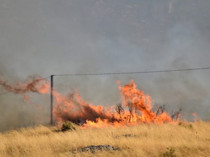 Pas tetë orësh luftë me zjarrin, shuhen të gjitha vatrat aktive në Gjirokastër