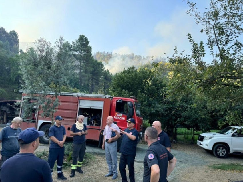 Pesë vatra zjarri në Lezhë, Ndreu: Parandalim dhe denoncim i personave përgjegjës