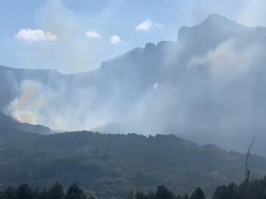 Zjarr në fshatin Shëngjin, digjet një sipërfaqe pyjore