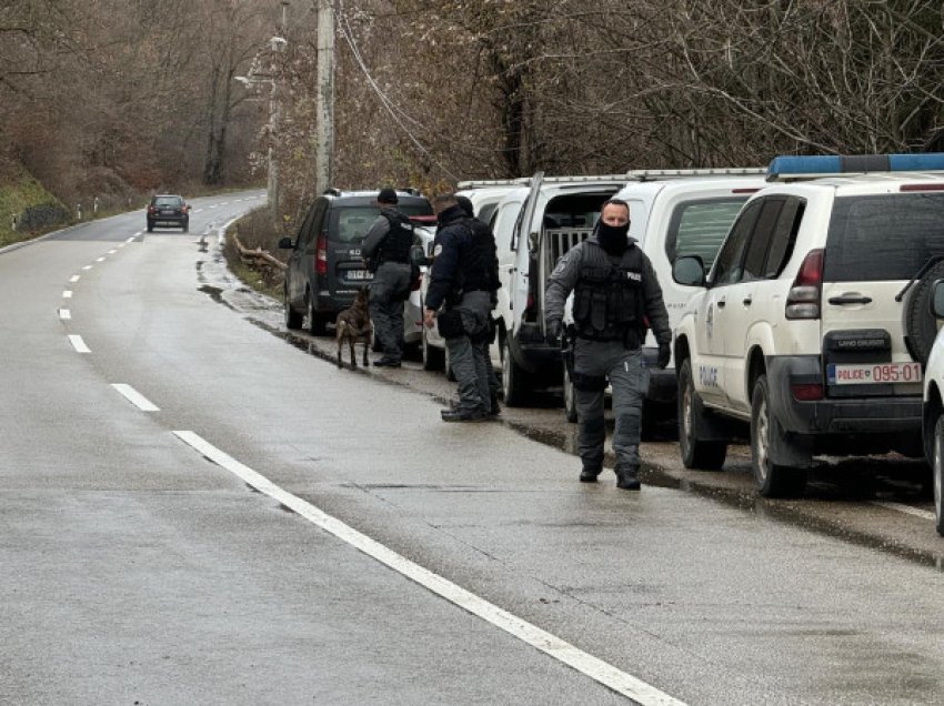 ​Njësiti i specializuar policor K-9 aktivizohet në Varagë