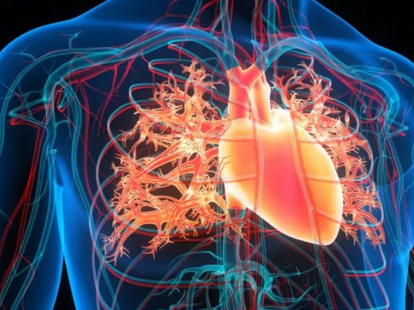 Zbulohet formula për një zemër të shëndetshme gjithë jetën