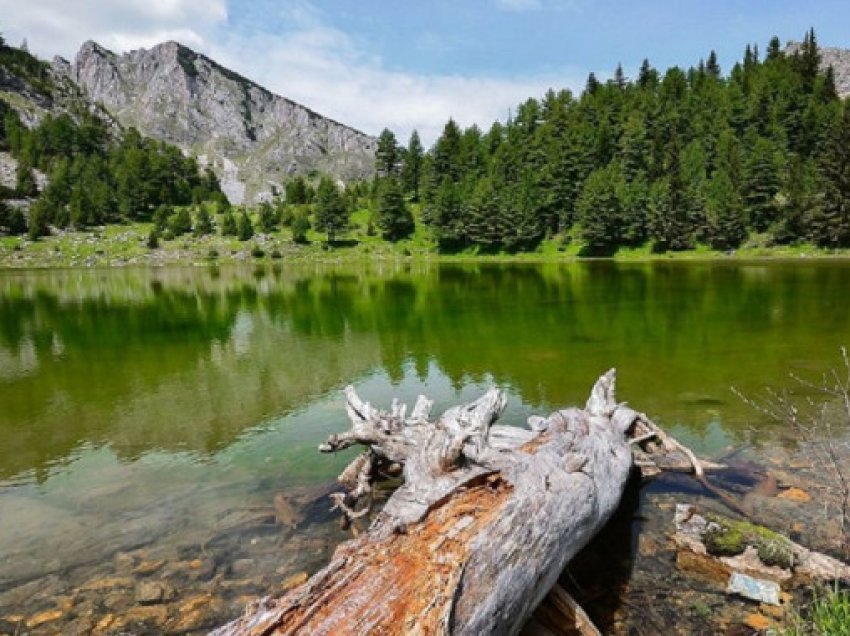 ​Rritet numri i turistëve në Kosovë, kjo komunë me numrin më të lartë të vizitorëve