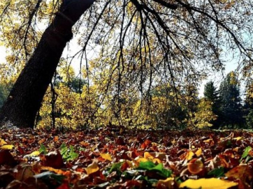 Moti sot në Maqedoninë e Veriut