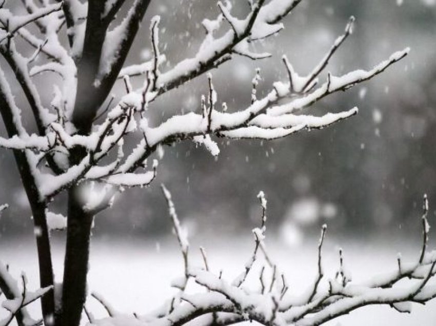 Nesër paralajmërohet borë në këto zona të Kosovës